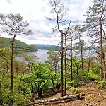Schoene Aussicht Gelb * Hemfurth-Edersee