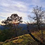 Apartament Schoene Aussicht Gelb *
